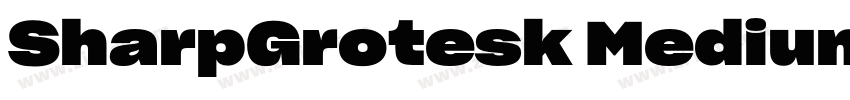 SharpGrotesk Medium2字体转换